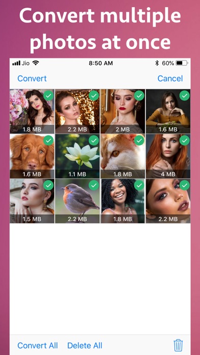 Photo Type Converter screenshot 2