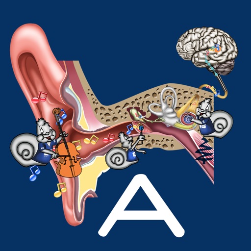 Hearing Anatomy Download
