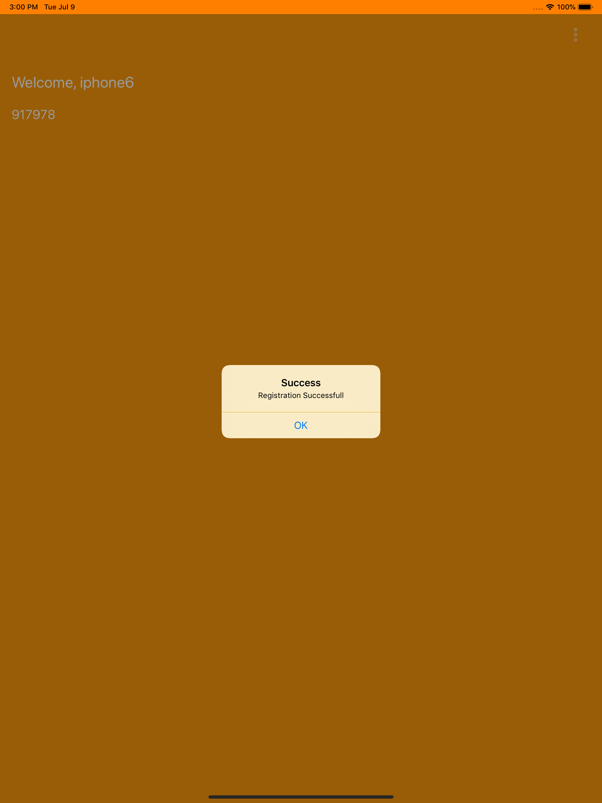 IRBS_FSE screenshot 12