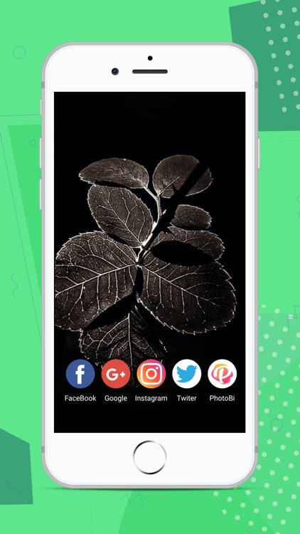 PhotoBi - Best Wallpaper App screenshot-3
