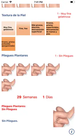 Game screenshot Neonatología: Método Capurro hack
