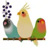 Adorable Birds Emoij Stickers delete, cancel