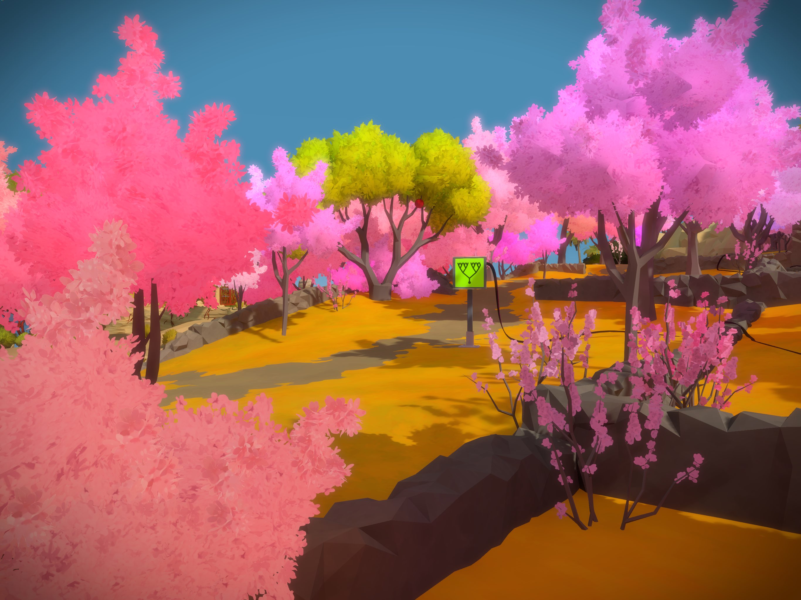 The Witness 截图 1