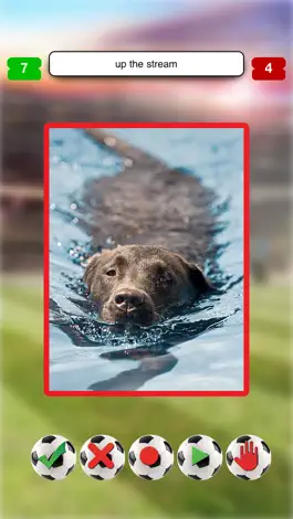 Game screenshot Clusters Complex Lite apk