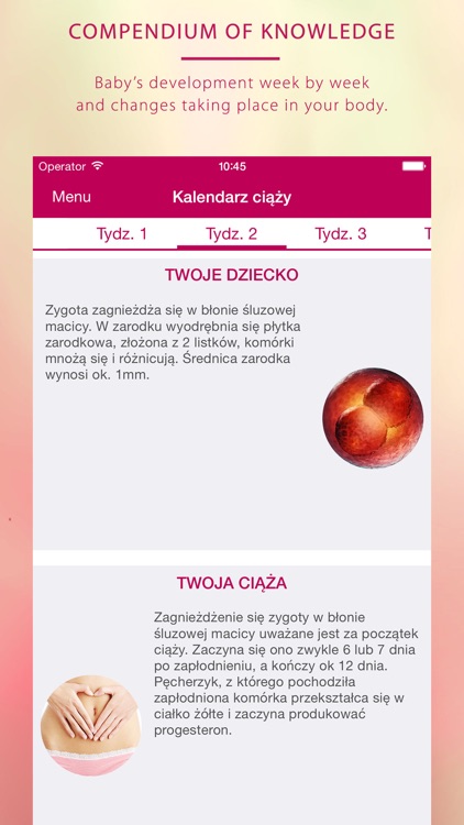 My pregnancy - Moja ciąża screenshot-4