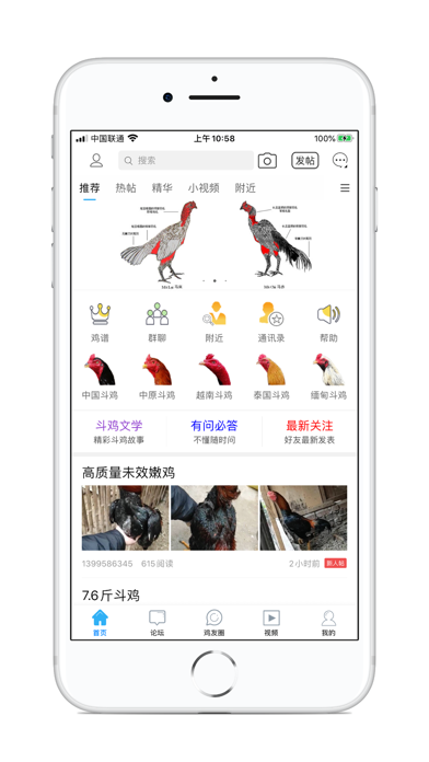 Screenshot #1 pour 中国斗鸡论坛