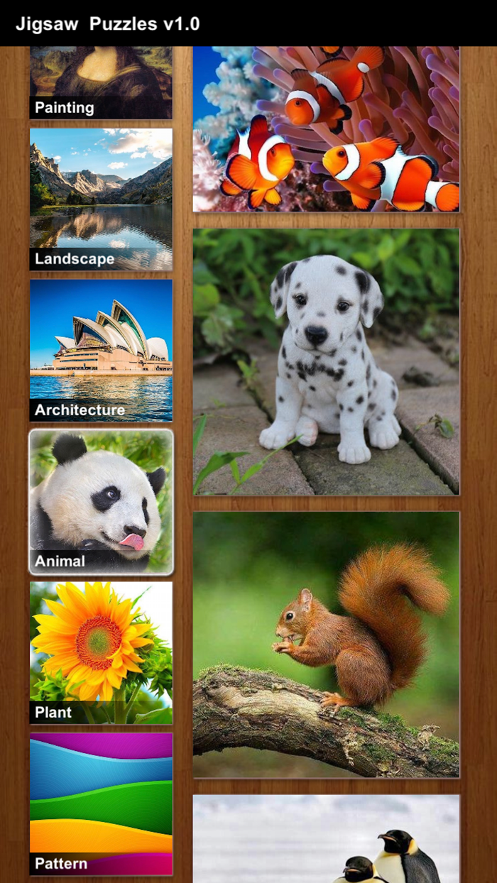 Photos Jigsaw Puzzle