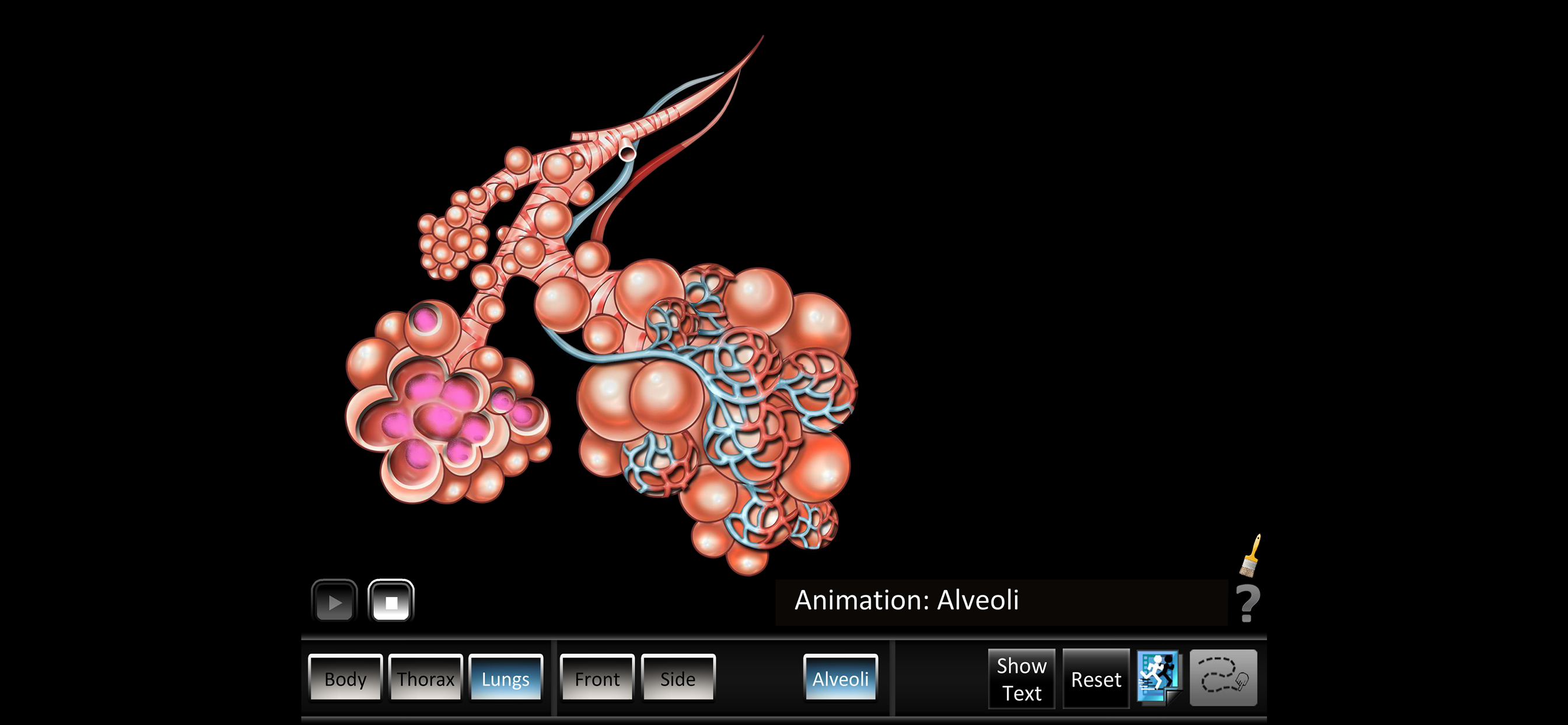 Respiration ID screenshot 3