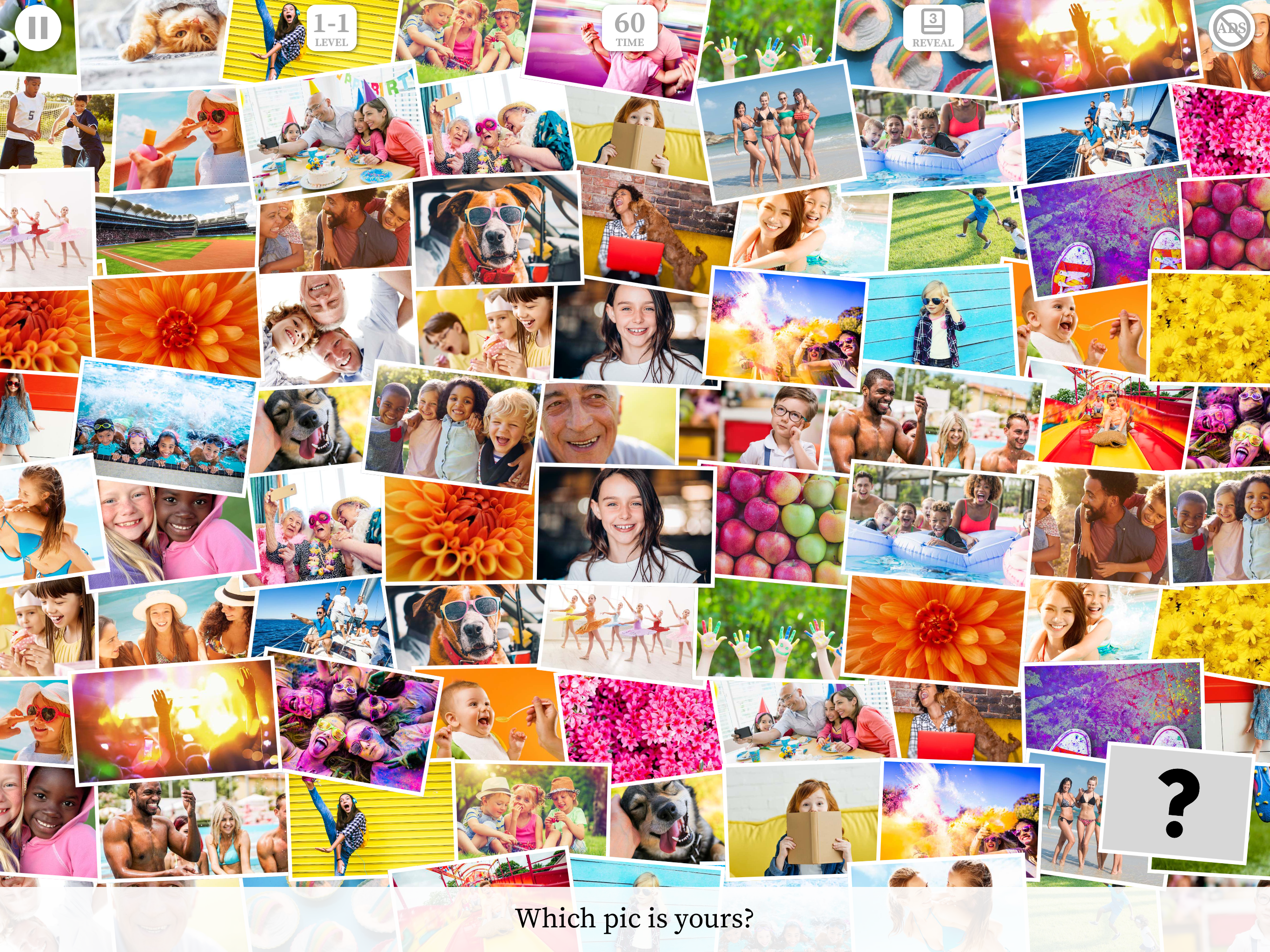 WhichPic? Photos Game!