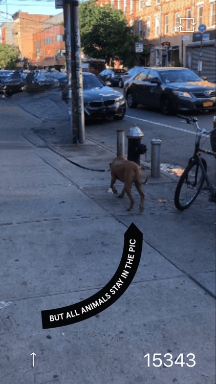 Bye Bye Camera