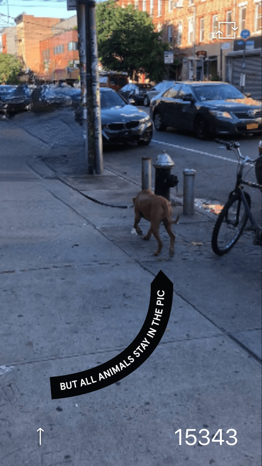 #2. Bye Bye Camera (iOS) Przez: Do Something Good