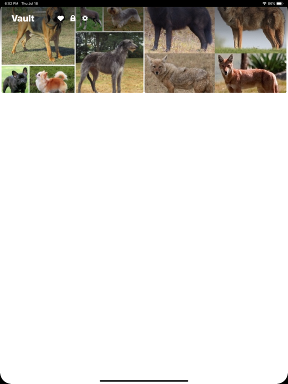 Personal - Private Photo Vault iPad screenshot 5 - Lifestyle app