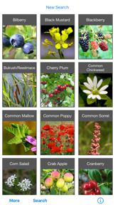Forage - Wild Free Food screenshot