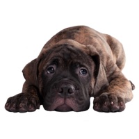 I Miss You Stickers app icon - Stickers app for iPhone