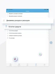 Расходы и Доходы 1С айпад изображения 4
