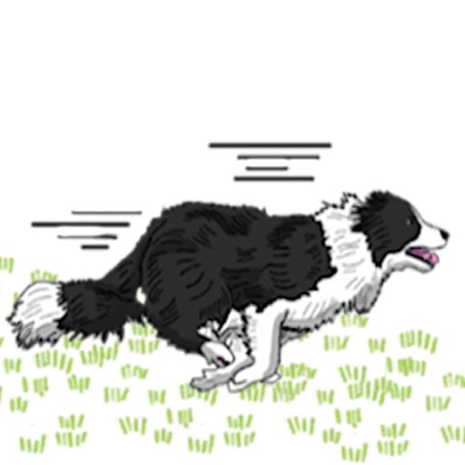 Border Collie Dog Icon Sticker - AppWisp.com