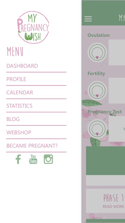 My Pregnancy Wish
