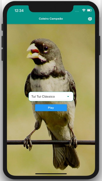 Coleiro Fibra Campeão