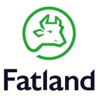 Mitt Fatland