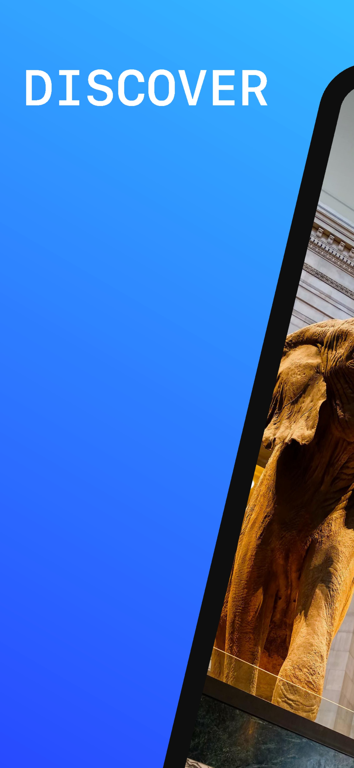 American Museum of Nat History