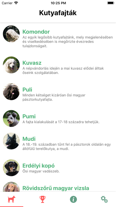 9 magyar kutya screenshot 4