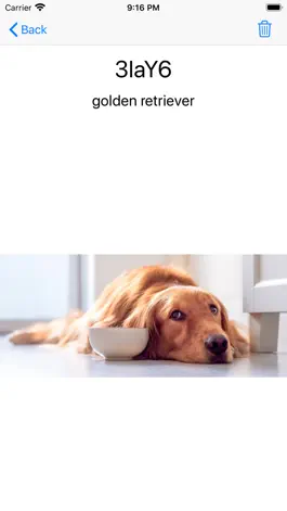 Game screenshot Whats the dog? apk