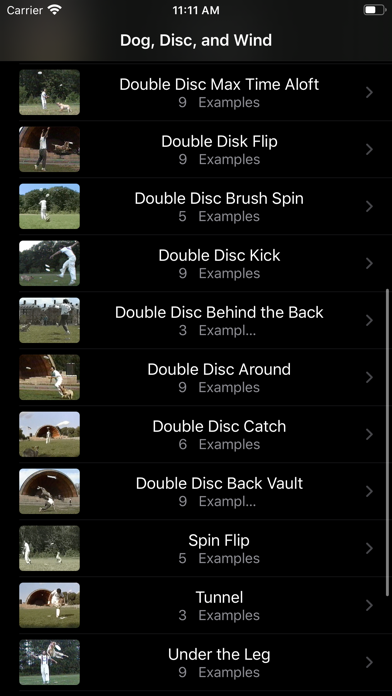 Dog, Disc, and Wind Screenshot