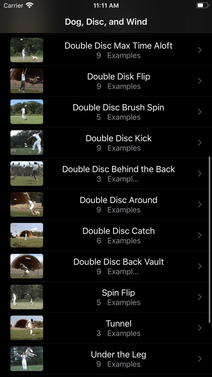 Dog, Disc, and Wind screenshot-7