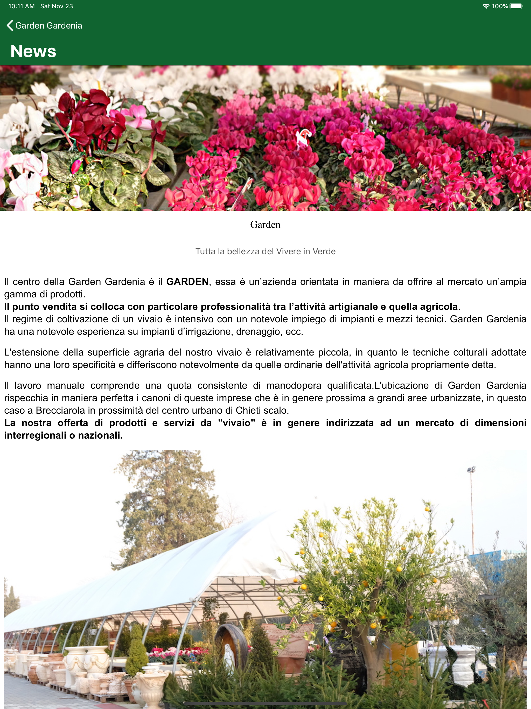 Garden Gardenia