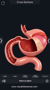 My Digestive System Anatomy screenshot