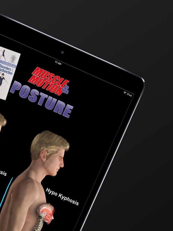 Posture by Muscle & Motion screenshot 2