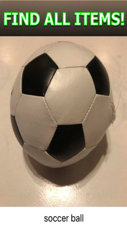 Item Hunt - Camera Scanner screenshot-3