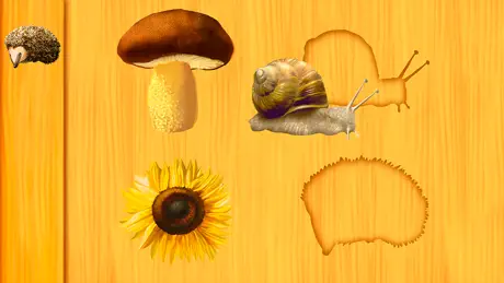 Amazing Shapes Puzzle for Kids