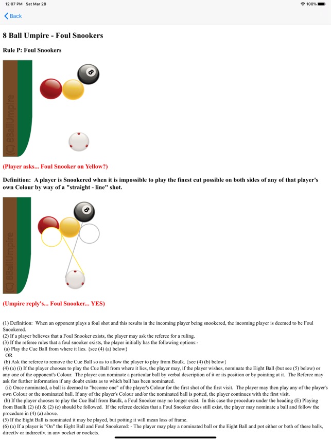 World Eight Ball Rules: Playing Rules 2020 - 8 Ball Umpire