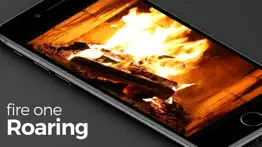 ultimate fireplace pro iphone screenshot 2