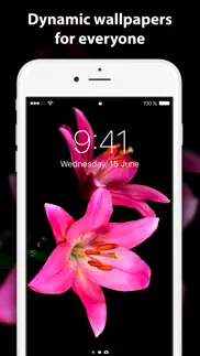 live wallpaper ∘ for me problems & solutions and troubleshooting guide - 3