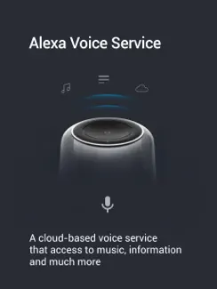 HK Alexa Setup iPad image 3