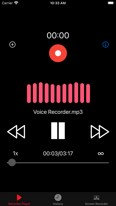 Voice Recorder, Voice Memos screenshot 3