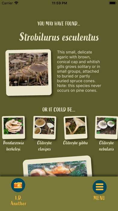 Snout: Mushroom Identification iPhone screenshot