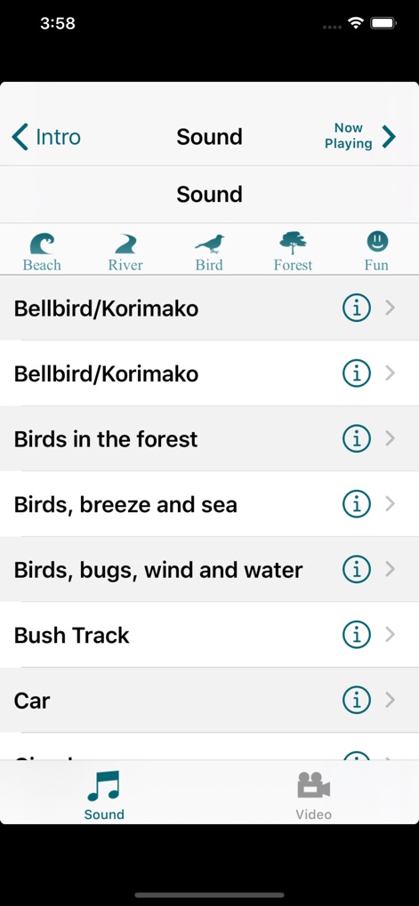 New Zealand Nature Sounds - Lifestyle App | MWM