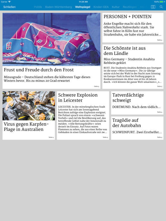 Screenshot #5 pour GEA E-Paper