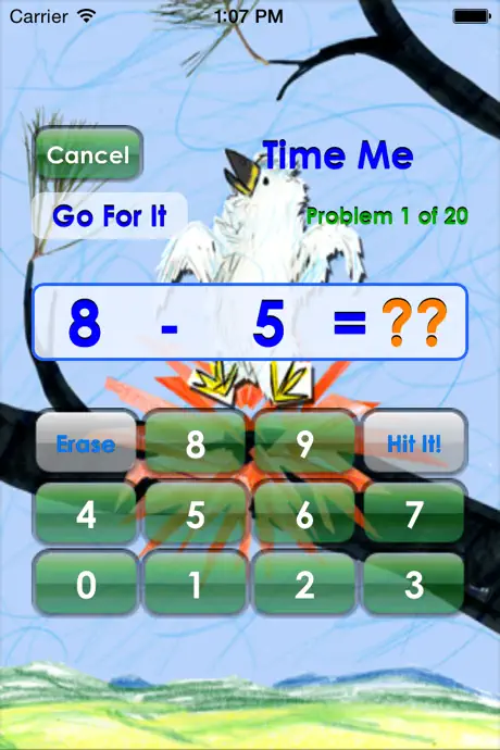Math In A Flash