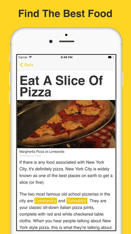 Obvious NYC ~ Travel Guide