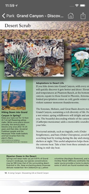 Arizona Pocket Maps(圖7)-速報App