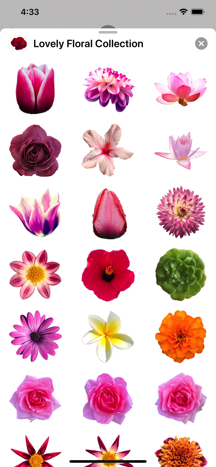 Lovely Flower Collection