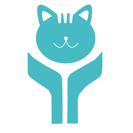 亚星流浪猫狗录