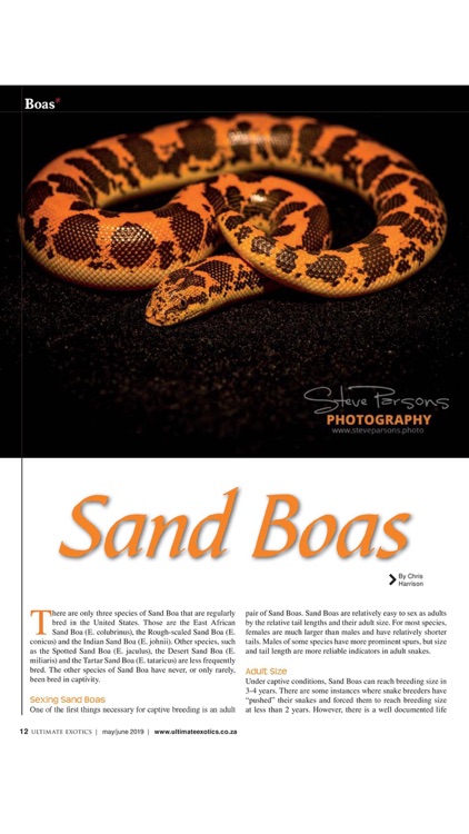 Ultimate Exotics Magazine