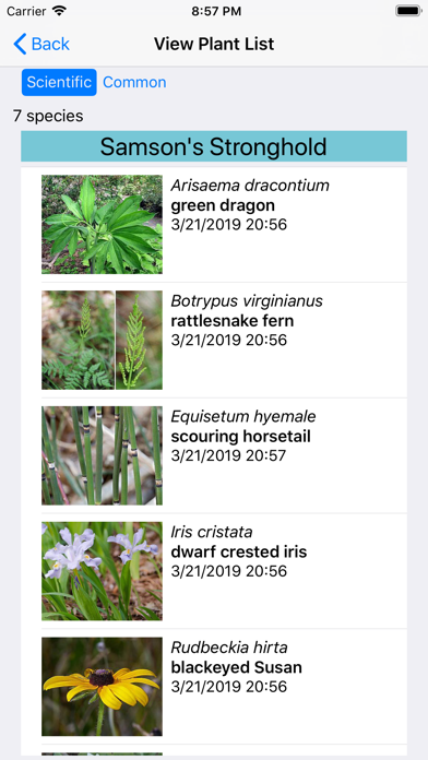 Kentucky Wildflowers Screenshot
