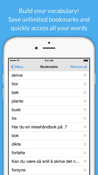 Norwegian Dictionary. Screenshot