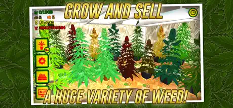 Weed Shop The Game
